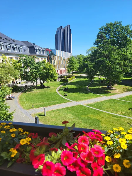 EIPOS Symposium Entrauchung - Blick über die Außenanlage